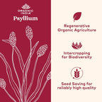ORGANIC INDIA Whole Psyllium Husk Powder Organic - Psyllium Husk Fiber Supplement, Digestion Support, Vegan, Gluten-Free, Non-GMO, Soluble & Insoluble Fiber Source - 12 oz (Pack of 1)
