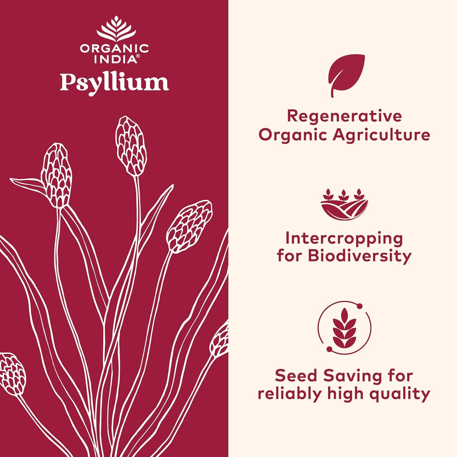 ORGANIC INDIA Whole Psyllium Husk Powder Organic - Psyllium Husk Fiber Supplement, Digestion Support, Vegan, Gluten-Free, Non-GMO, Soluble & Insoluble Fiber Source - 12 oz (Pack of 1)