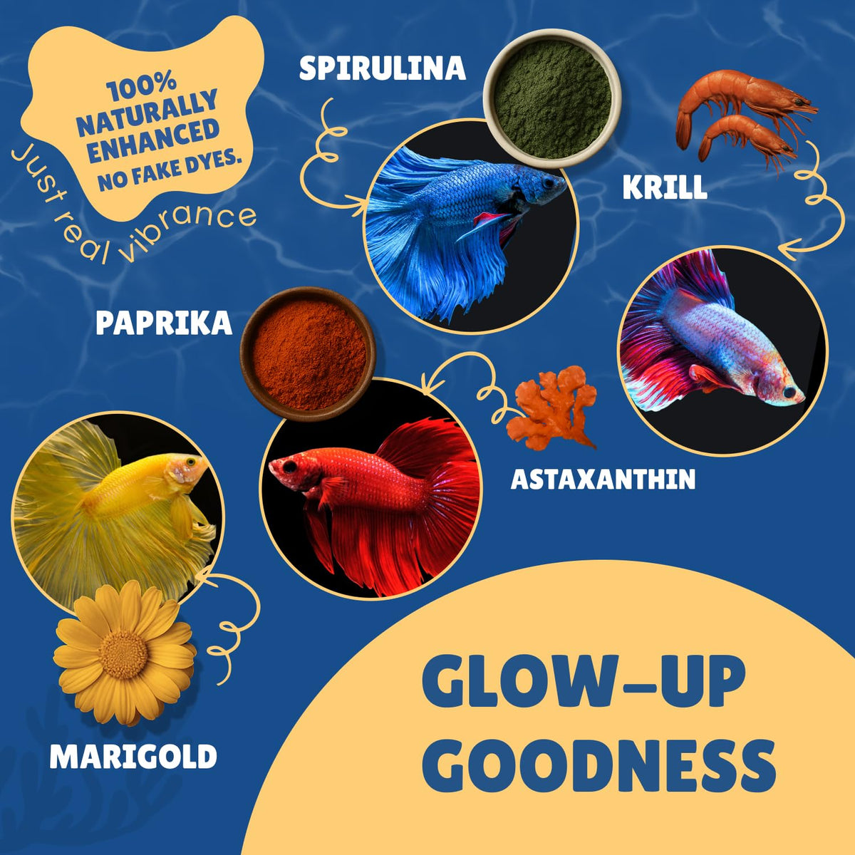 Betta Boost Pops | High-Protein Betta Fish Food Pellets Made in USA | Marine & Insect Protein | Floating & Slow-Sinking | Premium Freshwater Aquarium Fish Food 1oz