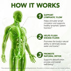 Lymphatic Drainage Supplement - 90 Capsules | 21-in-1 Herbal Complex with Echinacea, Dandelion & Burdock Root | Supports Natural Fluid Balance & Circulation