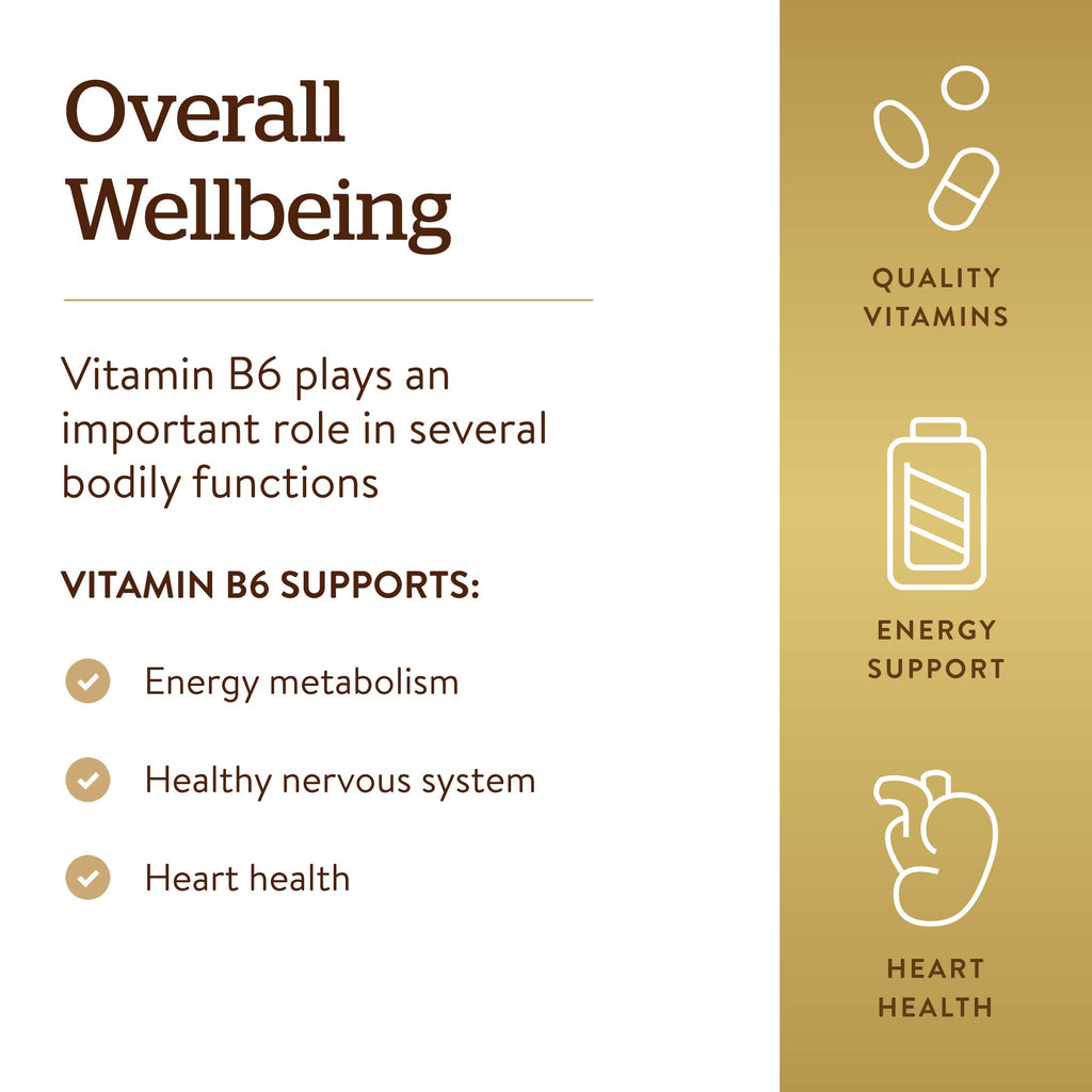Solgar Vitamin B6 25 mg, 100 Tablets - Supports Energy Metabolism | Heart Health & Healthy Nervous System - B Complex Supplement - Vegan, Gluten Free, Dairy Free, Kosher - 100 Servings