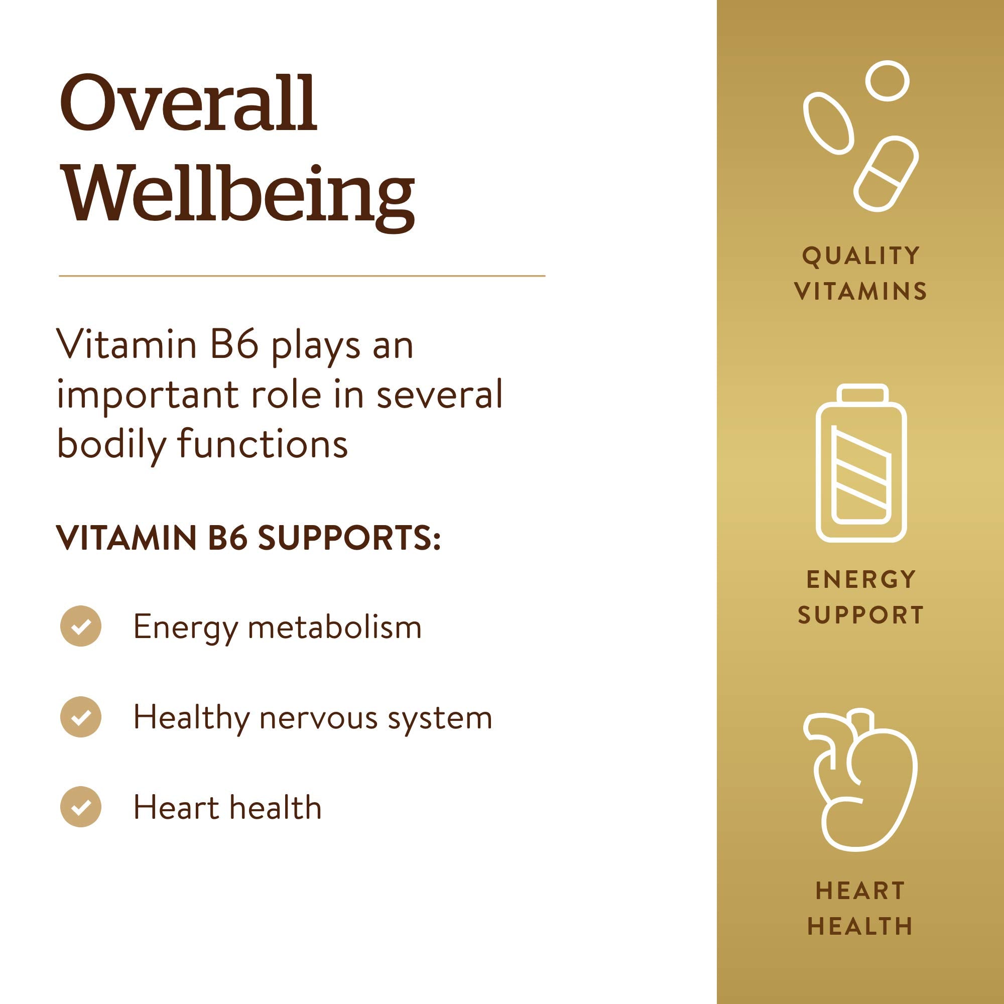 Solgar Vitamin B6 25 mg, 100 Tablets - Supports Energy Metabolism | Heart Health & Healthy Nervous System - B Complex Supplement - Vegan, Gluten Free, Dairy Free, Kosher - 100 Servings