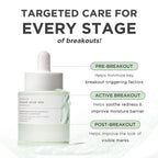 SKIN1004 Azelaic Acid 10% Ampoule, Hydrating Face Serum for Blemish-Prone & Irritated Skin, Soothing Care for Visible Marks with Centella, Niacinamide-Free, Korean Skin Care, 1.01 fl.oz / 30ml