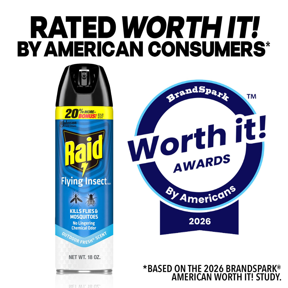 Raid Flying Insect Killer, Bug Spray for Indoor & Outdoor Use, 18 oz