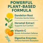 Debloat Powder for Supports Digestive Comfort & Bloating Relief, Digestive Enzymes for Women & Men, Rich in Vitamin C, Dandelion Root, Horsetail Extract, Non GMO, Peach Mango, 200G / 7.05OZ