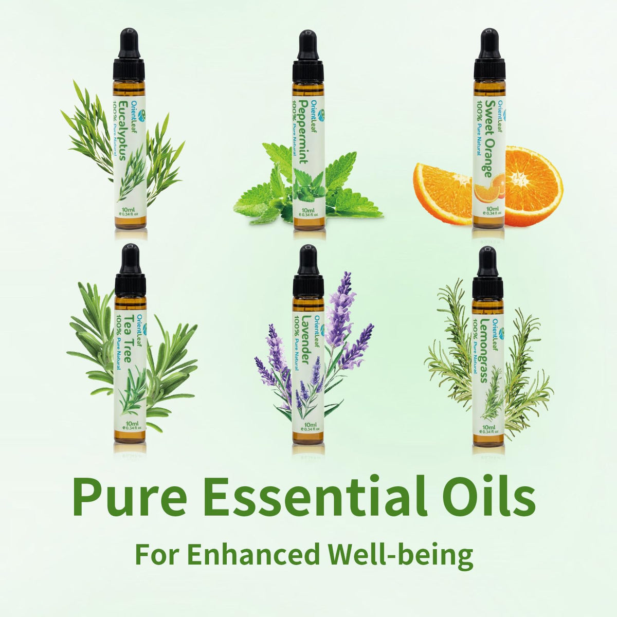 Essential Oil Gift Set, Blends for Diffusers, Aromatherapy, Humidifiers