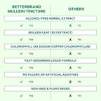 Betterbrand Mullein Drops, Alchohol-Free Lung Detox with Chlorophyll | 30:1 Mullein Leaf Tincture, Lung Cleanse, Long-Term Lung & Respiratory Health, Mullein Drops Supplement, Improved Airflow