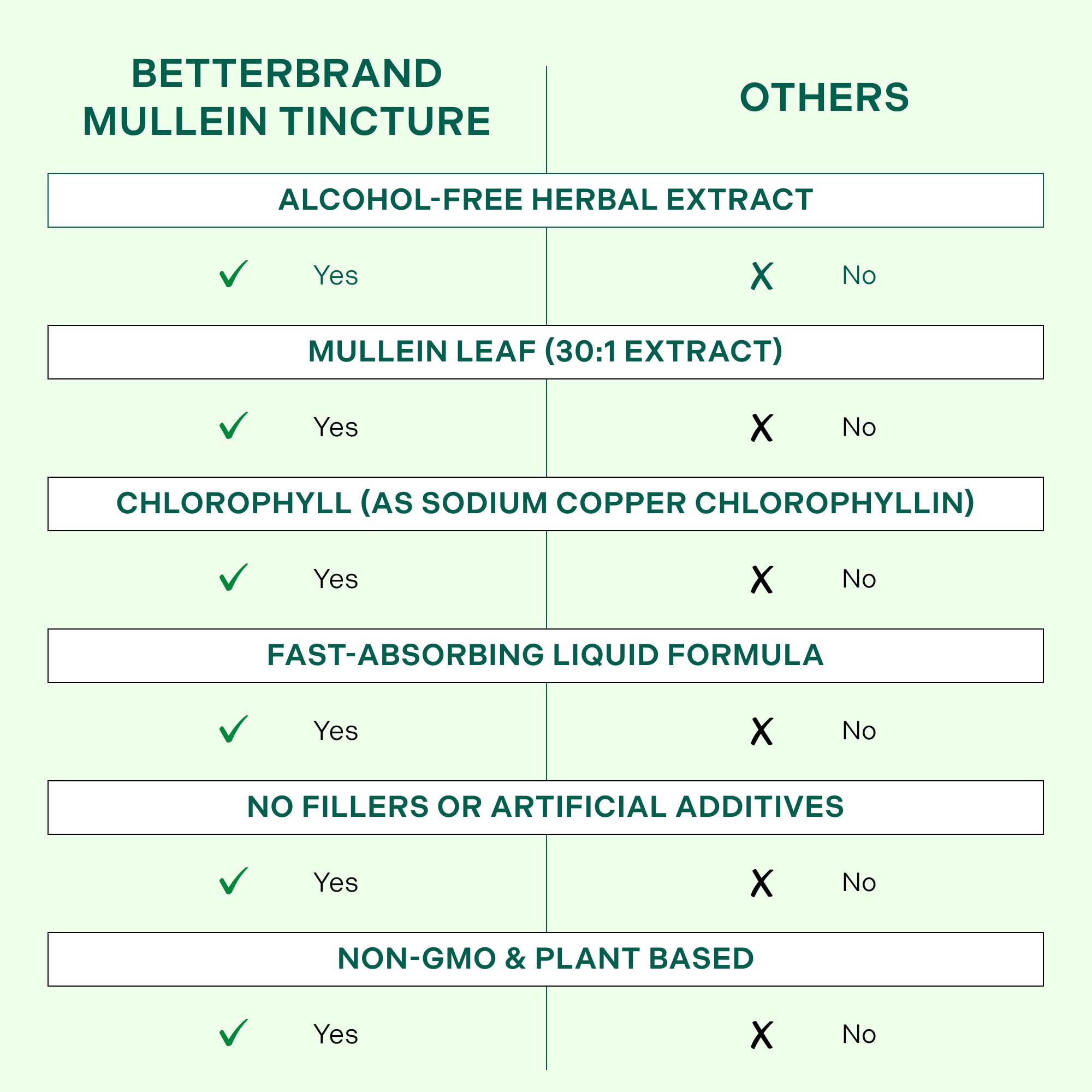 Betterbrand Mullein Drops, Alchohol-Free Lung Detox with Chlorophyll | 30:1 Mullein Leaf Tincture, Lung Cleanse, Long-Term Lung & Respiratory Health, Mullein Drops Supplement, Improved Airflow