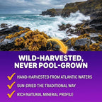 Sakoon nutrition Wildcrafted Irish Sea Moss Gummies with Bladderwrack, Burdock Root, Elderberry & Black Seed Oil – Vegan, Non-GMO – 60 Gummies