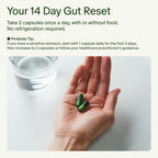 Seed 14 Day Gut Reset - for Adults - 14-Day Supply | 24-Strain Probiotic + Prebiotic - Rapid Gut Recovery - Reset After Travel, Stress, and Medications - Vegan Capsules