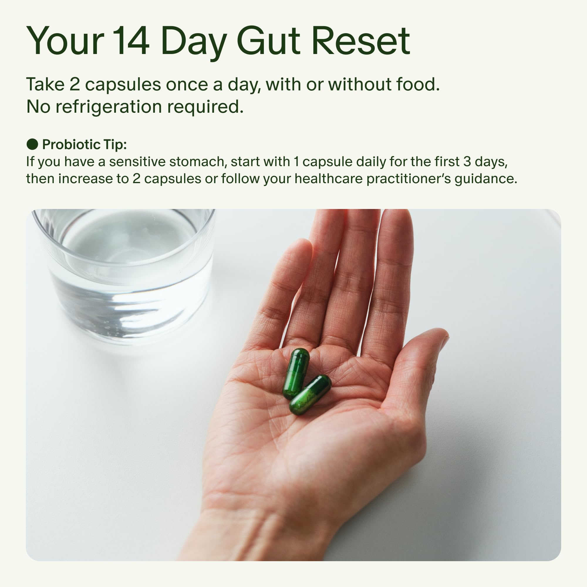 Seed 14 Day Gut Reset - for Adults - 14-Day Supply | 24-Strain Probiotic + Prebiotic - Rapid Gut Recovery - Reset After Travel, Stress, and Medications - Vegan Capsules