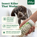 Diatomaceous Earth Food Grade with Peppermint Oil Crawling Insect Killer | Indoor Pest Control Powder for Bed Bug, Roach, Ant, Fleas | Lilly's naturals, 12 fl oz