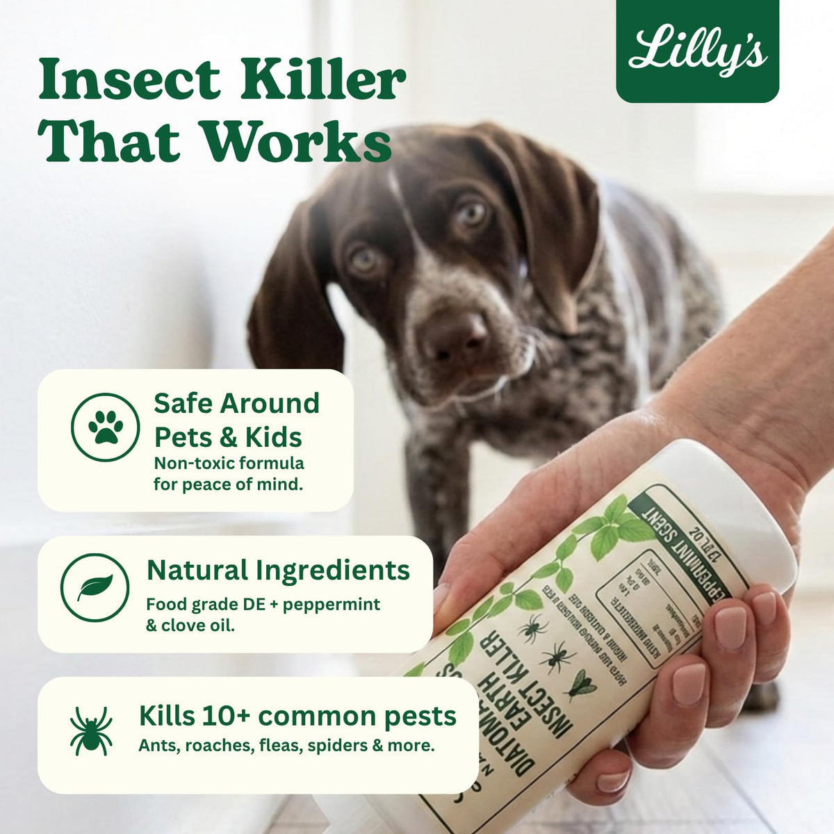 Diatomaceous Earth Food Grade with Peppermint Oil Crawling Insect Killer | Indoor Pest Control Powder for Bed Bug, Roach, Ant, Fleas | Lilly's naturals, 12 fl oz