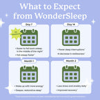 Plant People WonderSleep Mushroom Gummies Supplement for Sleep, 60ct | No Melatonin Sleep Gummies with Reishi Mushroom, Saffron & Chamomile, Wild Elderberry Flavor, Sugar-Free (60 Count)