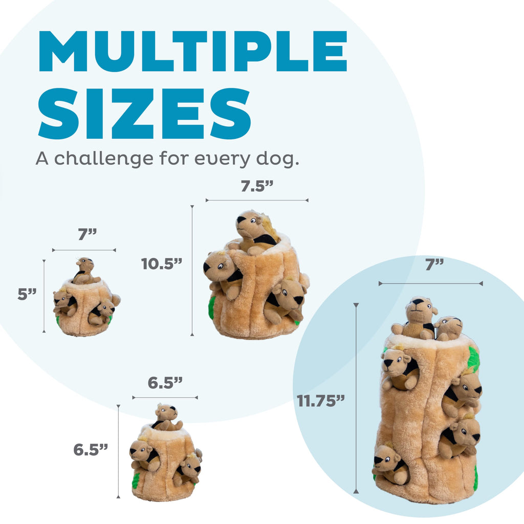 Outward Hound Hide-A-Squirrel Plush Squeaky Dog Toy, XL, 7" x 11.8"