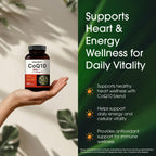 NatureBell CoQ10 300mg - 240 Capsules - High-Potency Support for Healthy Heart - Daily Energy & Vitality Aid with Antioxidant Support - Easily Absorbed Ubiquinone & Omega-3*