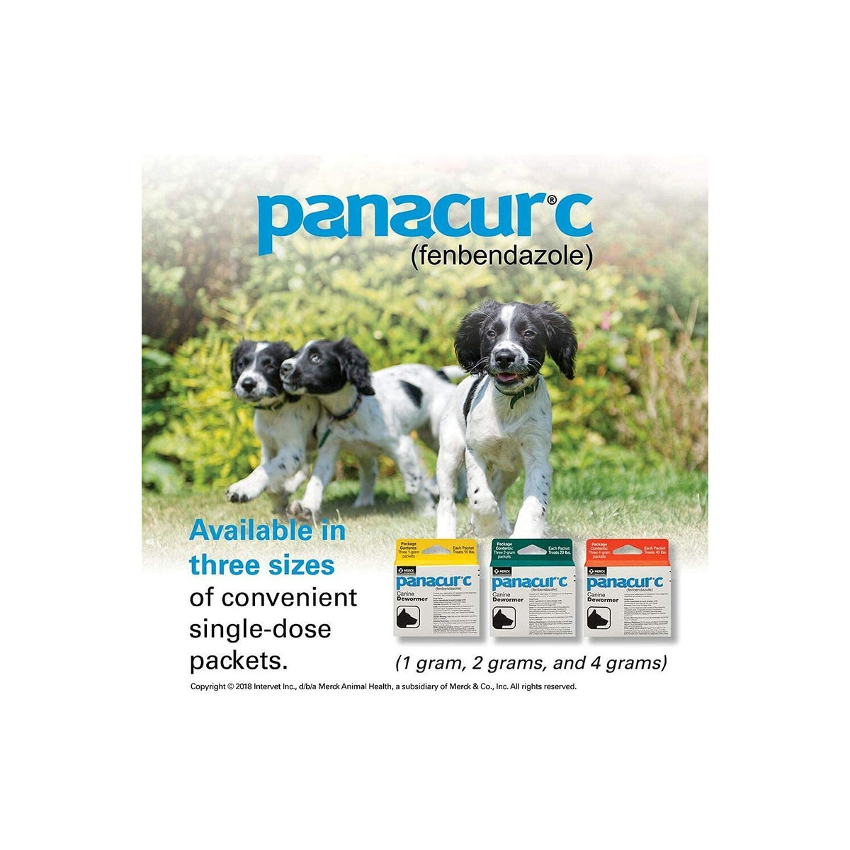 Panacur C Canine Dewormer (Fenbendazole), 1 Gram, Yellow, 3 Count (Pack of 1)