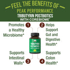 CoreBiome Tributyrin Postbiotic Supplement Clinically Tested for Gut Health | More Effective Than Sodium Butyrate Capsules. High Bioavailability Post Biotics for Digestive, Leaky Gut, Colon, Microbiome