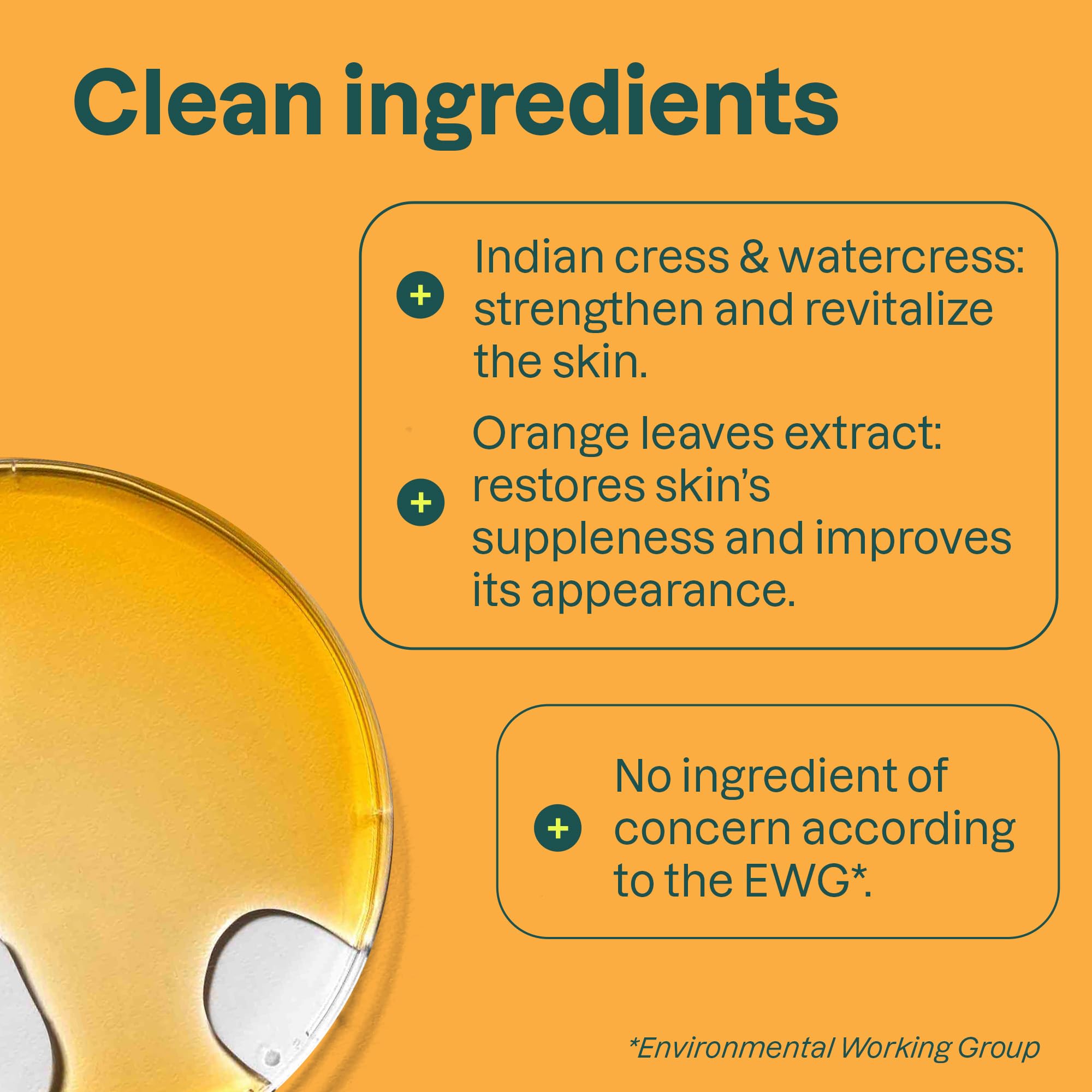 Buy now ATTITUDE Liquid Hand Soap, EWG Verified, Plant and Mineral-Based, Vegan Personal Care Products, Orange Blossom & Eucalyptus Scent, 16 Fl Oz at indiglob india