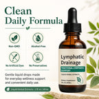 Lymphatic Drainage Drops, Fluid Retention – Alcohol-Free, Vegan | with Elderberry & Echinacea Dandelion，– Supports Lymphatic Drainage, Immune System & Detox 2 fl oz (1pcs)