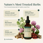 Lymphatic Drainage Drops for Bloat Relief & De-Puff – Cleavers, Red Clover, Stillingia Root & Prickly Ash Bark – Lymph Node Detox Cleanse, Fluid Retention – Alcohol-Free, Vegan, 2 Fl Oz