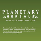 Buy now Planetary Herbals Stone Free Tablets, 90 Count at indiglob india