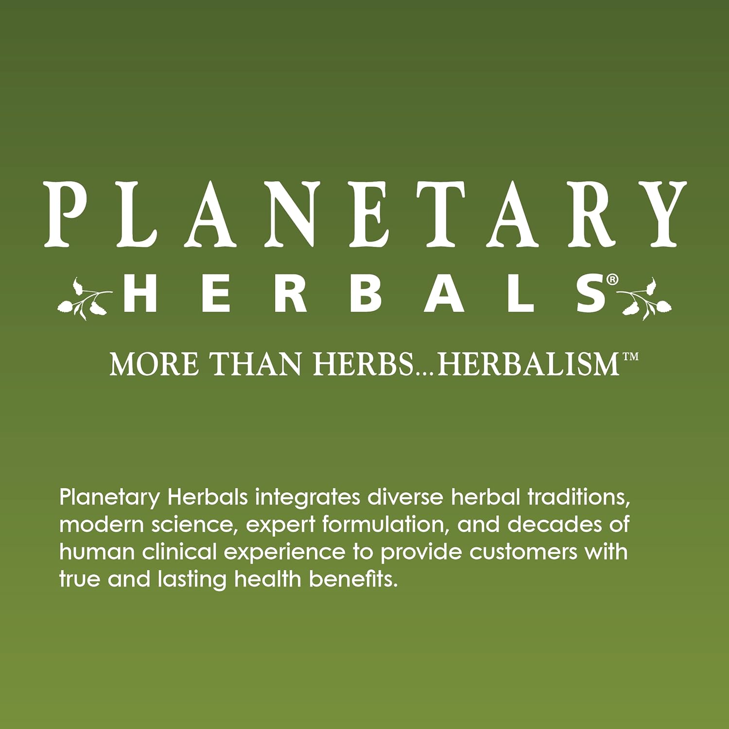 Buy now Planetary Herbals Stone Free Tablets, 90 Count at indiglob india
