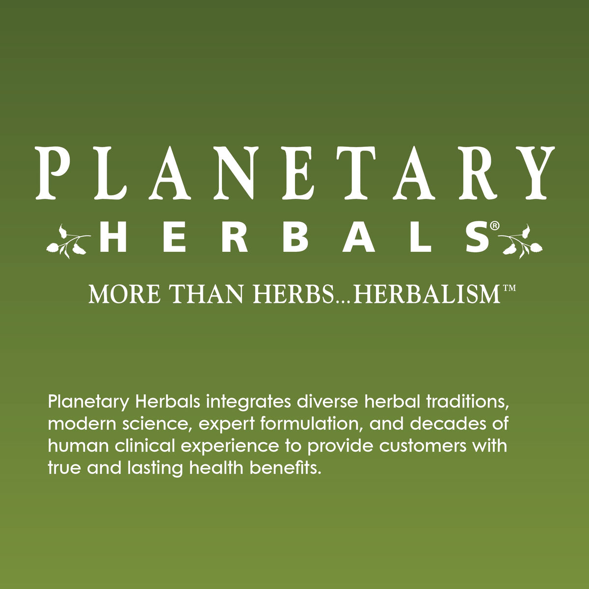 Planetary Herbals Stone Free 820 mg Herbal Support for Kidney and Gallbladder 180 Tablet