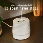 Febreze Plug Scent Booster Starter Kit, Oil Diffuser, Air Freshener Plug in, Continuous Scent, 2 Devices + 2 Baked Cinnamon Apple Refill