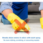 Buy now Spot Shot Professional Instant Carpet Stain Remover No-Scrub Aerosol, 14 oz at indiglob india