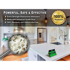 MAXGUARD Pantry Moth Traps (12 Pack +2 Free) with Extra Strength Pheromones | Non-Toxic Sticky Glue Trap for Food and Cupboard Moths in Your Kitchen | Trap and Kill Seed Grain Flour Meal Moths |
