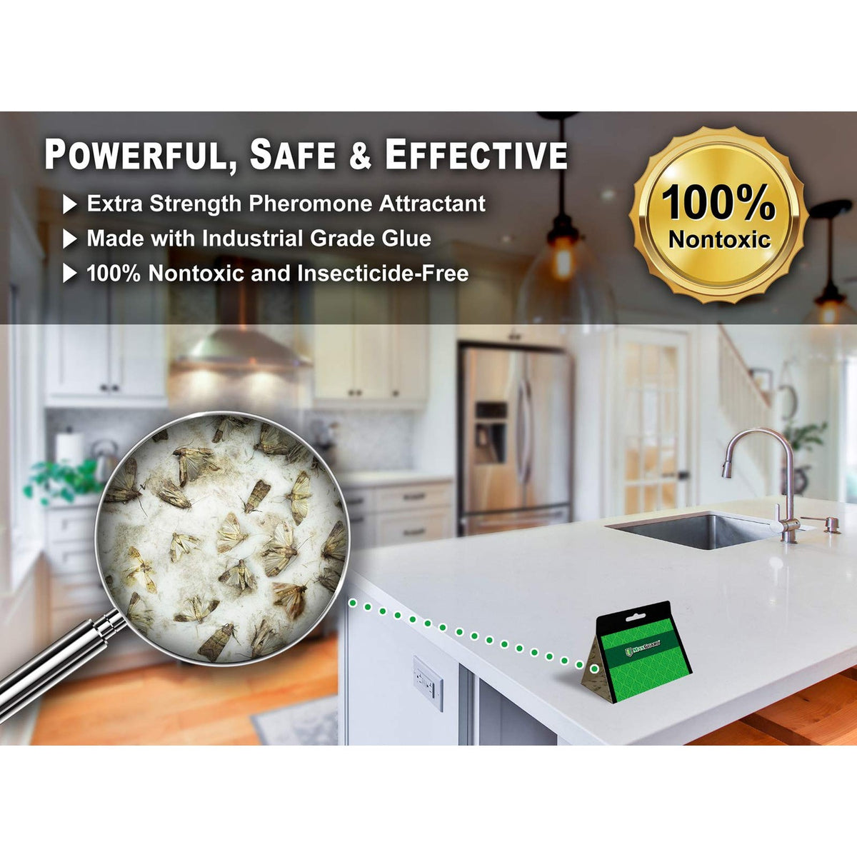 MAXGUARD Pantry Moth Traps (12 Pack +2 Free) with Extra Strength Pheromones | Non-Toxic Sticky Glue Trap for Food and Cupboard Moths in Your Kitchen | Trap and Kill Seed Grain Flour Meal Moths |
