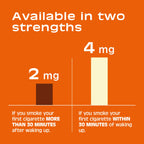 Nicorette Nicotine Gum 2mg, Quit Smoking Aid, Cinnamon Surge, 100 Ct, 2 Pk