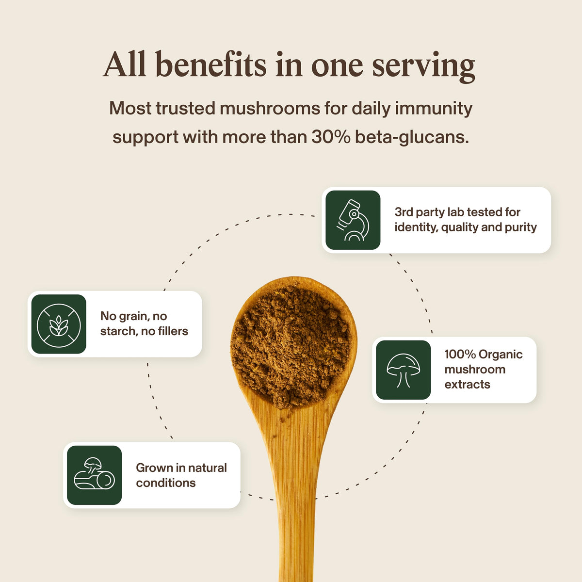 Real Mushrooms Organic Turkey Tail Capsules for Gut Harmony, 200ct