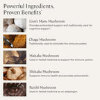 Stonehenge Health Dynamic Mushrooms® | Lions Mane+ Brain, Memory, Focus | Mushroom Supplements for Brain Memory Focus Immune Support Lion's Mane Reishi Chaga Maitake Shiitake 1400mg Fruiting Bodies