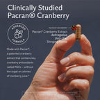 Kidney Cleanse & Detox Support with Cranberry, 60 Vegetarian Capsules | Kidney support supplement with Pacran cranberry, astragalus, uva ursi, nettle, juniper, buchu & urinary tract support