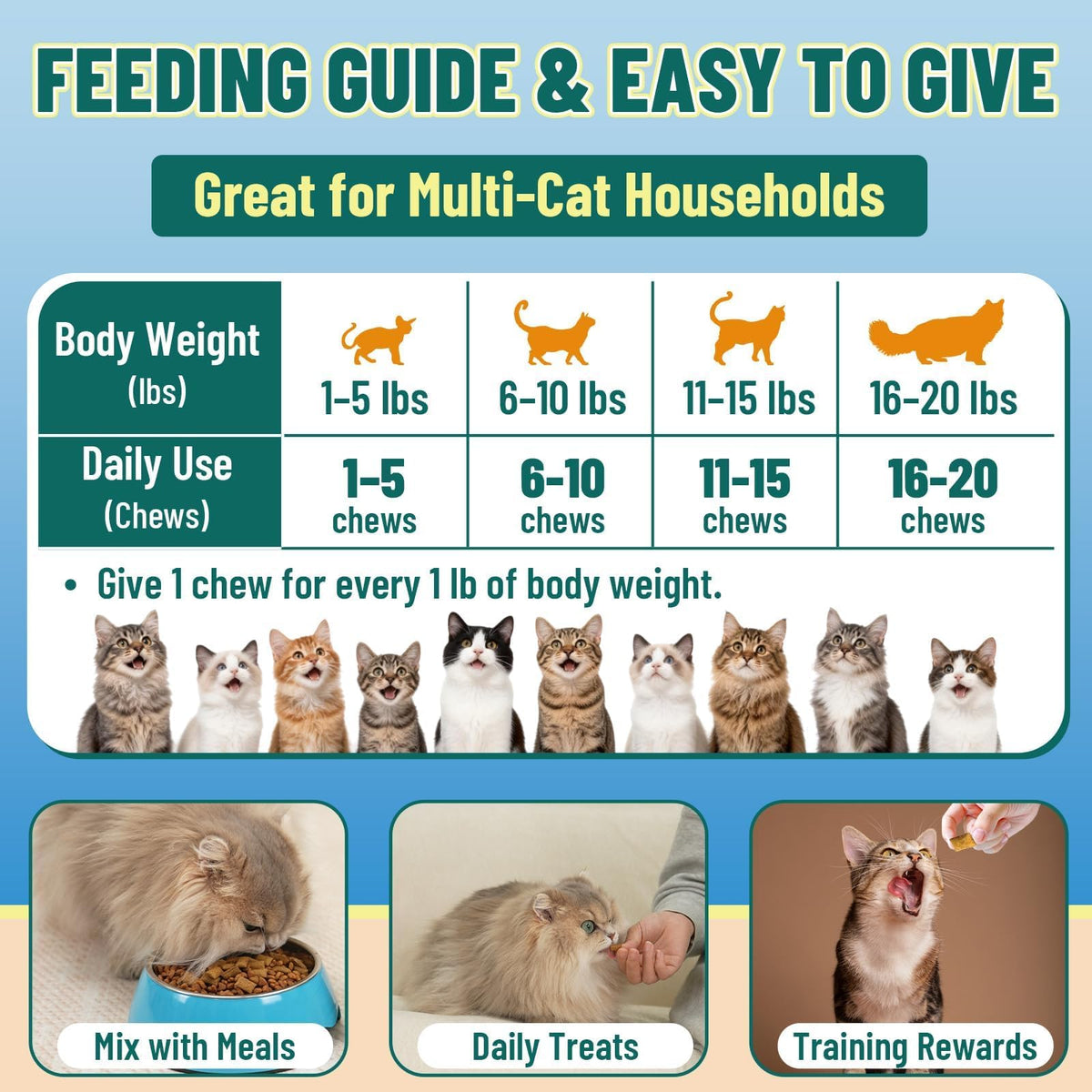 VICSOM Taurine for Cats, Cat Supplements for Heart & Vision, 500 Chews