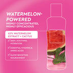 Glow Recipe PHA + BHA Face Toner, Korean Exfoliating Toner for Pores, Gentle Chemical Exfoliant + Hydrating Toner, Watermelon, Cactus Water + Glycerin (150ml)