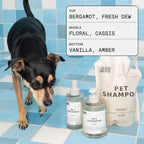 DedCool Pet Fragrance | 01 Taunt | Clean Luxury Pet Perfume for Dogs | Long-Lasting Deodorizing Spray | Non-Toxic, Vegan | 8.5 fl oz