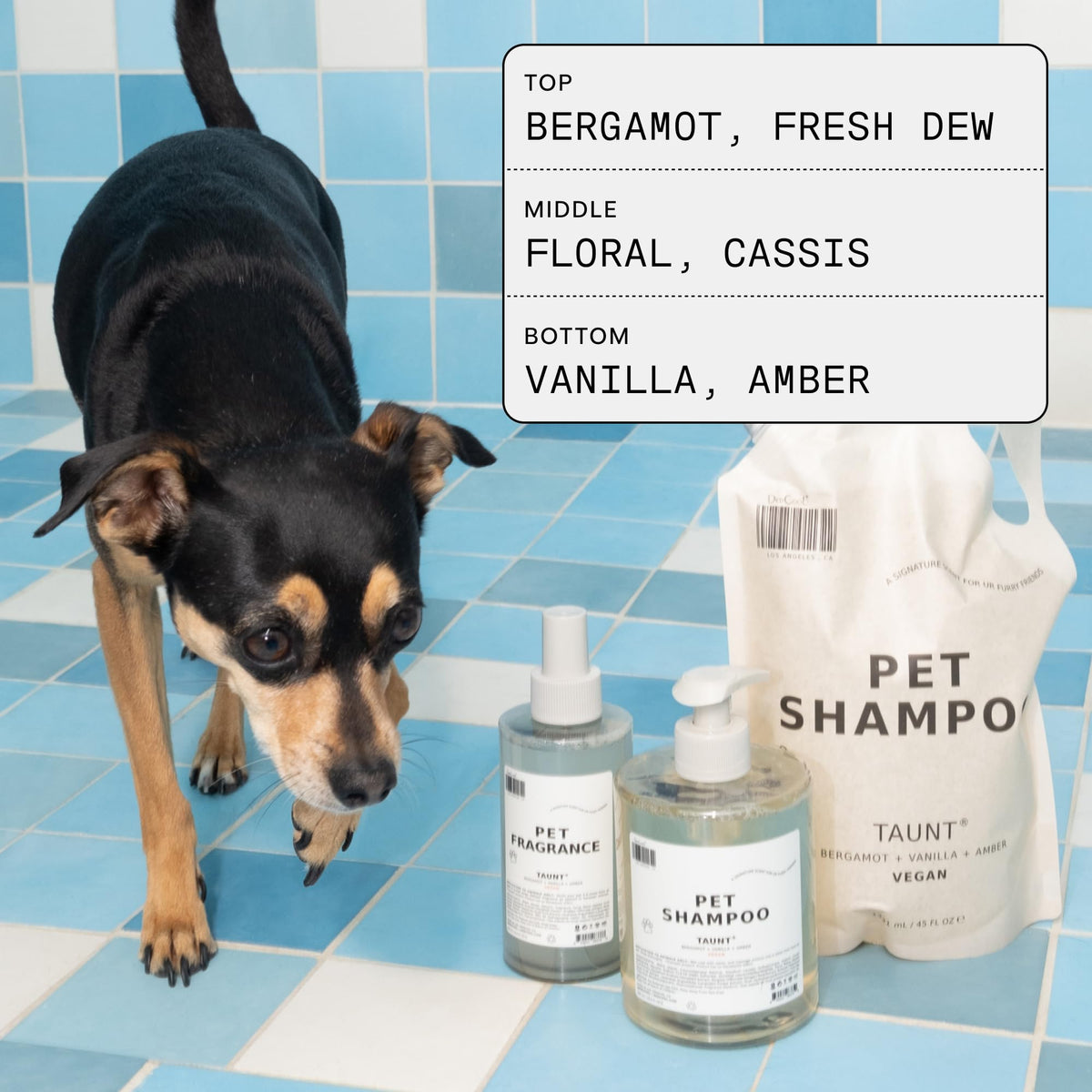 DedCool Pet Fragrance | 01 Taunt | Clean Luxury Pet Perfume for Dogs | Long-Lasting Deodorizing Spray | Non-Toxic, Vegan | 8.5 fl oz