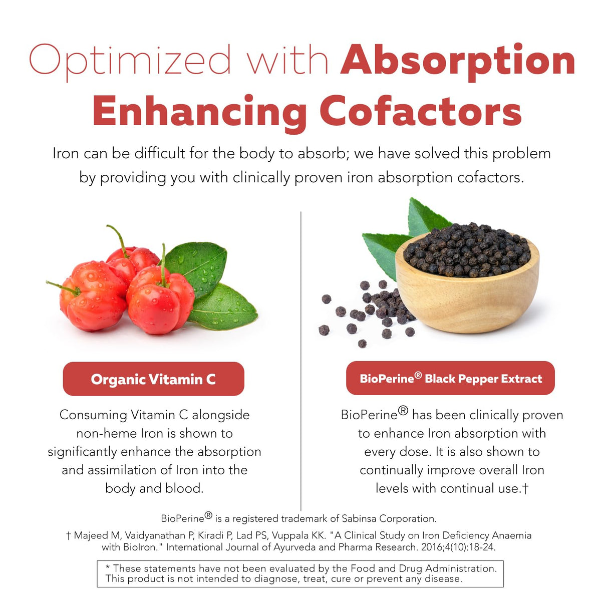 Organic Iron Supplement, Whole Food Mineral & Cofactors, 25mg, Gentle Form