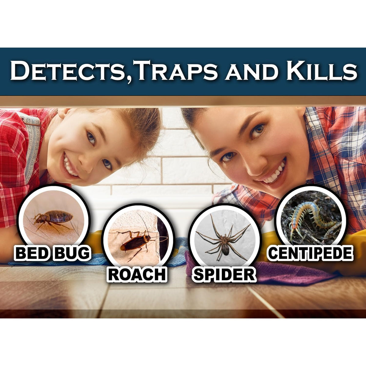 MaxGuard Bed Bug Traps (24 Traps) Non-Toxic Bed Bug Detection Traps. Detects, Traps, and Kills Bed Bugs and Crawling Insects Such as Spiders, Crickets, Cockroaches and Ants