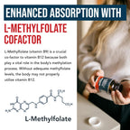 BioActive Vitamin B12 - 5000 mcg, Contains 3 BioActive Forms Methylfolate Cofactor - Methyl B12, Adenosyl B12 & Hydroxy B12 | Supports Energy, Metabolism & Mood | Vegan, Non-GMO (60 Servings)