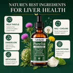 Purelia Liver Restore Drops, Milk Thistle Liquid Supplement, 120 mL | Milk thistle drops with dandelion, artichoke, NAC, choline and L-glutathione for daily liver wellness and antioxidant support