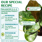 Fiddle Leaf Fig Plant Food, 3-1-2 NPK Liquid Fertilizer for Ficus, 8 oz