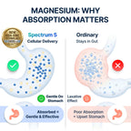 Spectrum 5 Magnesium | 5-in-1 Complex | + 72 Trace Minerals for Enhanced Absorption | Irish Sea Sourced | 500mg per Serving | Third Party Tested, GMP Certified