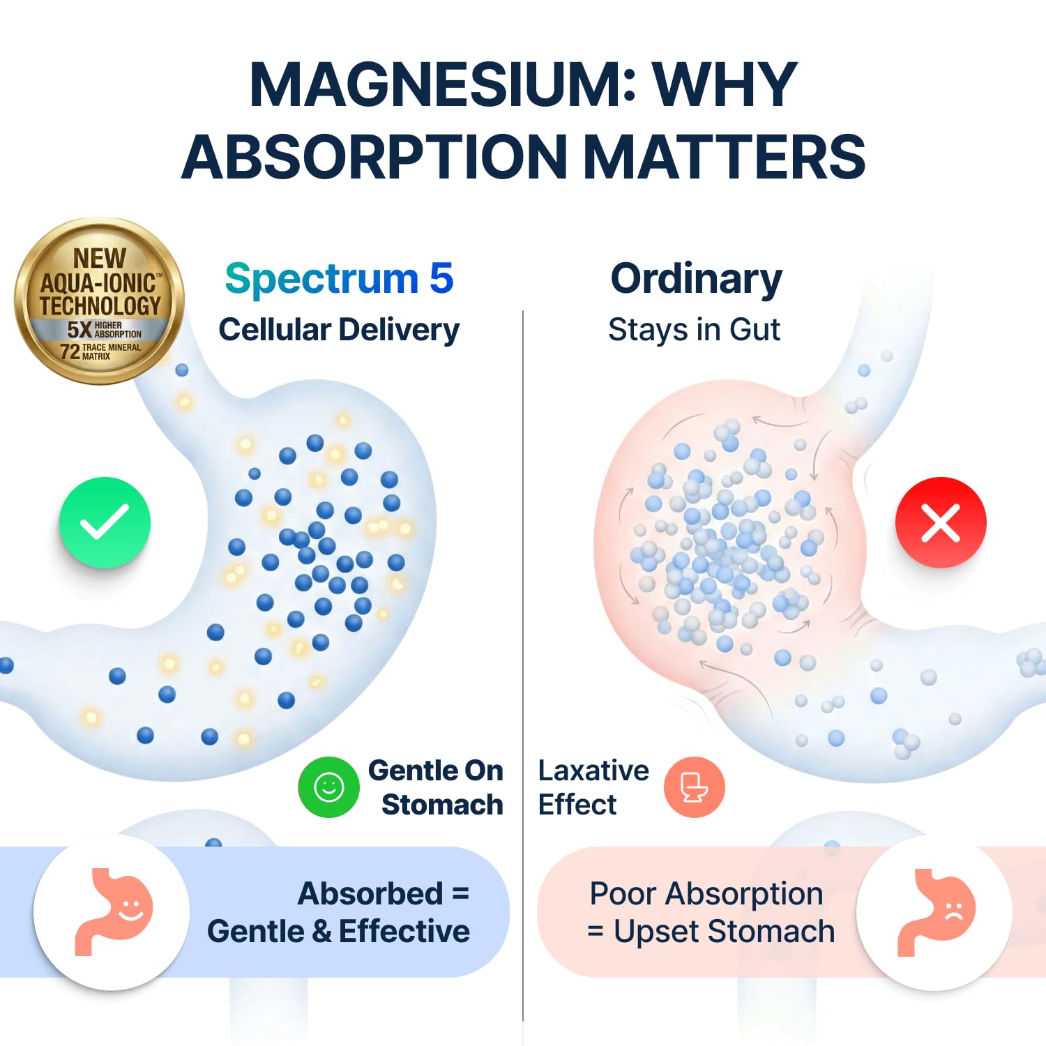 Spectrum 5 Magnesium | 5-in-1 Complex | + 72 Trace Minerals for Enhanced Absorption | Irish Sea Sourced | 500mg per Serving | Third Party Tested, GMP Certified