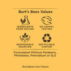 Buy now Burt's Bees Lip Balm Stocking Stuffers, Moisturizing Lip Care Holiday Gift, 100% Natural, Original Beeswax with Vitamin E & Peppermint Oil (4 Pack) at indiglob india