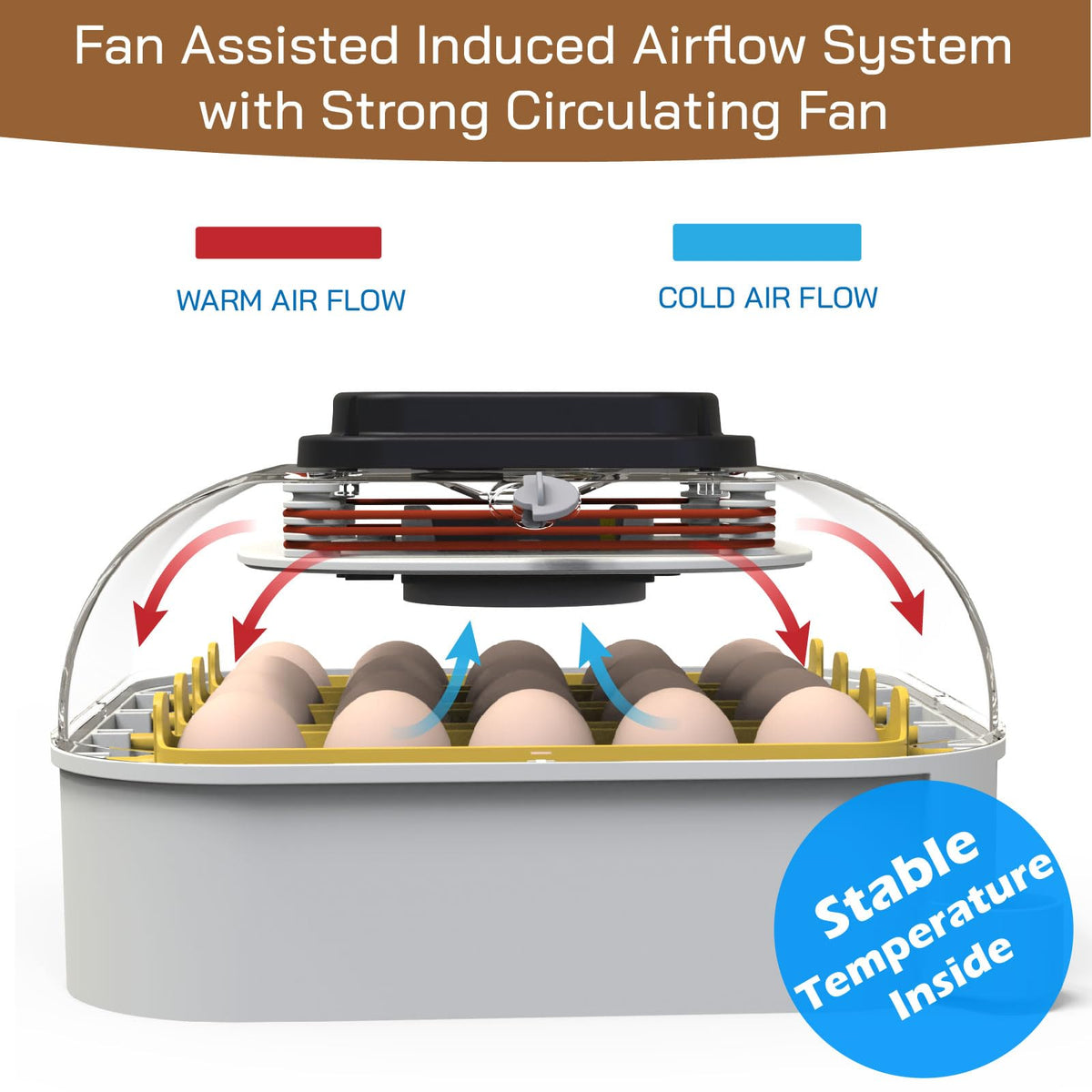 MATICOOPX 20 Egg Incubator with Humidity Display, Egg Candler, Automatic Egg Turner, for Hatching Chickens