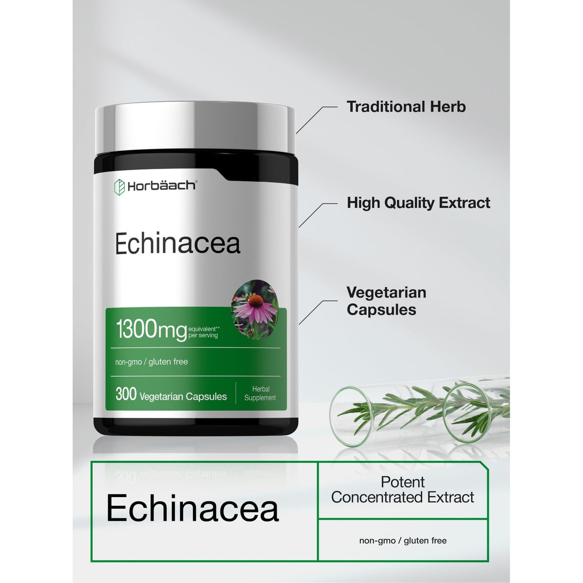 Horbäach Echinacea Extract Capsules | 300 Count
